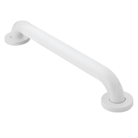 Moen Series 8700 grab bar thumbnail Moen Series 8700 grab bar thumbnail